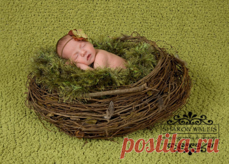 Dark Green Photo Prop Baby Photography Prop. Newborn by BabyBirdz