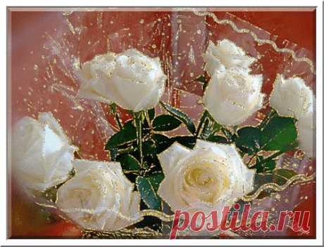 Открытка фото картинка Блестящие, белые розы поздравление рисунок Блестящие, белые розы