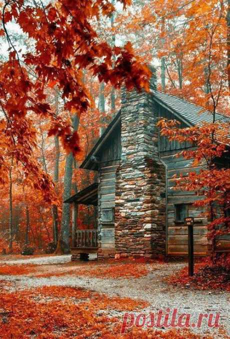cozy cabin in the fall woods | Fall is the Season