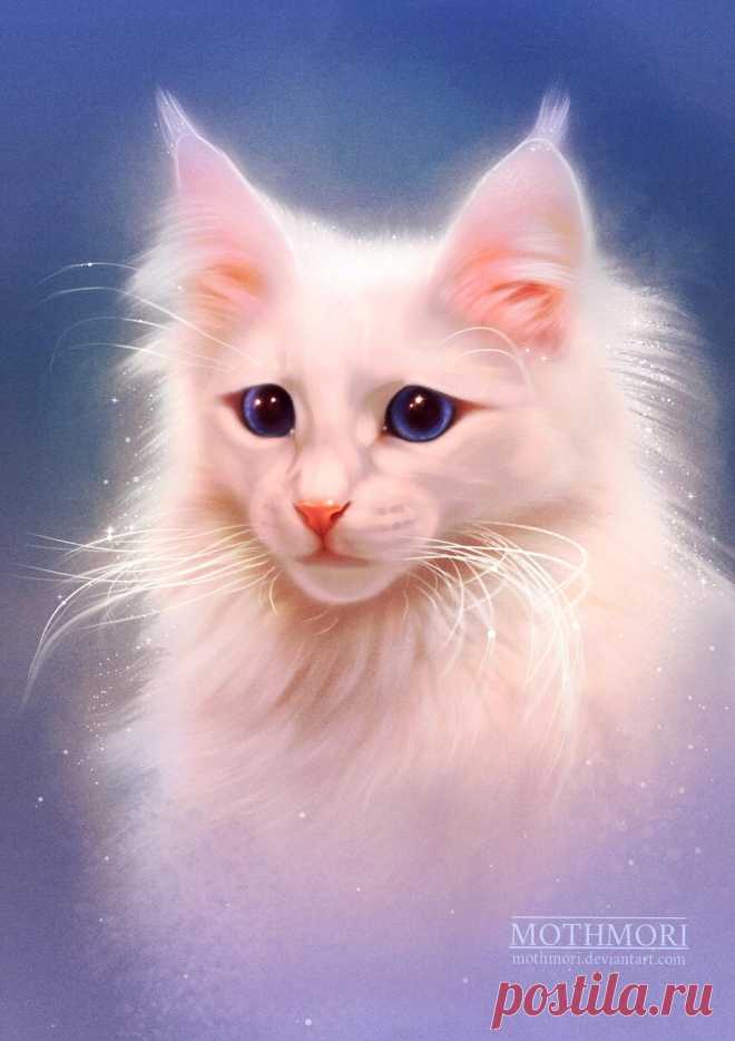 Sad Cat by mothmori on DeviantArt