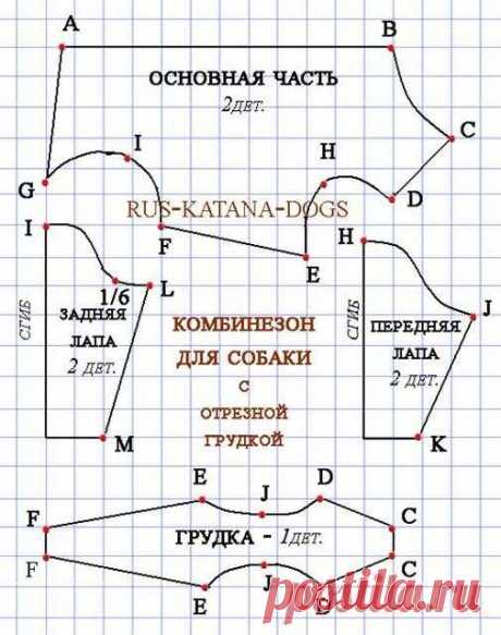 dzīvnieki