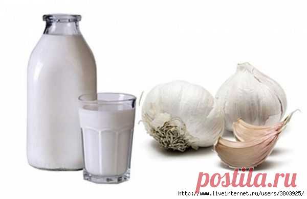 Молоко с чесноком от давления: средство, подтвержденное на опыте