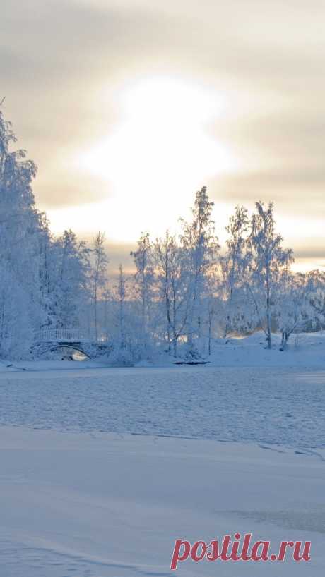 Download Wallpaper 1080x1920 winter, winter landscape, trees, snow, frost, beautifully Sony Xperia Z1, ZL, Z, Samsung Galaxy S4, HTC One HD Background