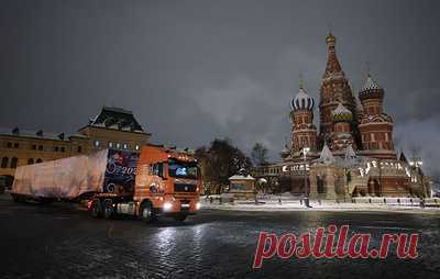 В Кремль доставили главную праздничную ель страны. Специальный автопоезд ввез ее через Спасские ворота для последующей установки на Соборной площади