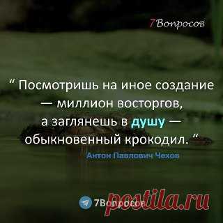 7Вопросов “ Посмотришь на иное создание — миллион восторгов, а заглянешь в душу — обыкновенный крокодил. “ © Антон Павлович Чехов