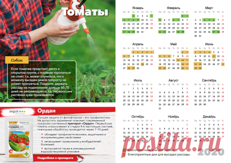 Лунный календарь посева и высадки в грунт томатов на 2020 год