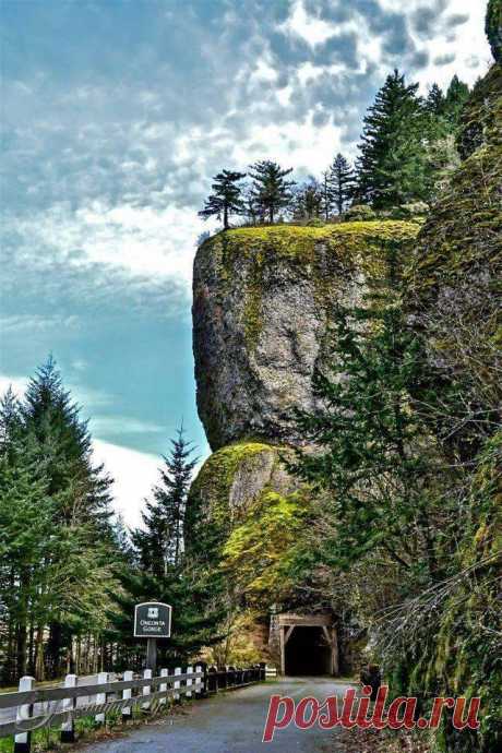 Oneonta Tunnel, Columbia Gorge, Oregon