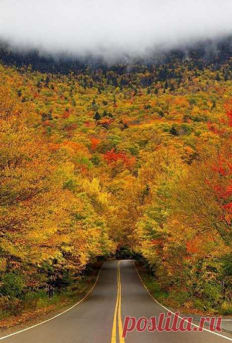 Мир без фотошопа. Туннель осенних деревьев в «Ущелье контрабандистов». Вермонтский парк, США.