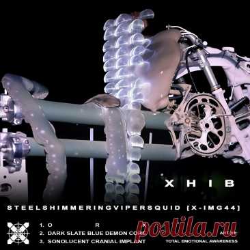 XHIB - Steel Shimmering Viper Squid (EP) (2024) 320kbps / FLAC