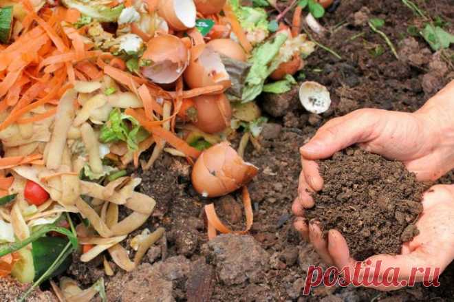 Готовим на даче компост: правила и технология изготовления органического удобрения