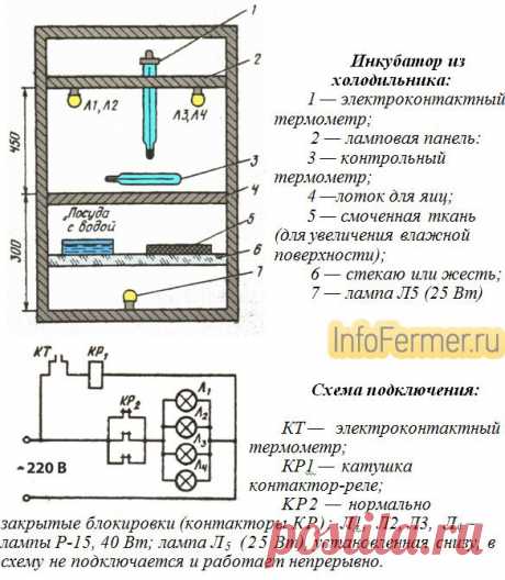 Инкубатор для яиц своими руками схема и описание | infofermer.ru