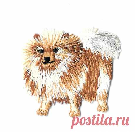 Dog - Puppy - Pomeranian Spitz Chow - Toy Breed - Pet - Iron On Applique Patch | eBay