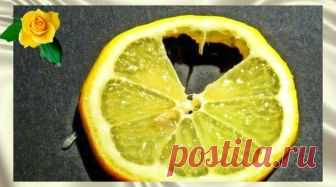 Лечим сердце лимонами Загрузка... О пользе лимонов известно всем, их вклад в наше здоровье невозможно переоценить. Этот богатый витаминами и минералами фрукт используется также для лечения и профилактики сердечно-сосудистых заболеваний  ...