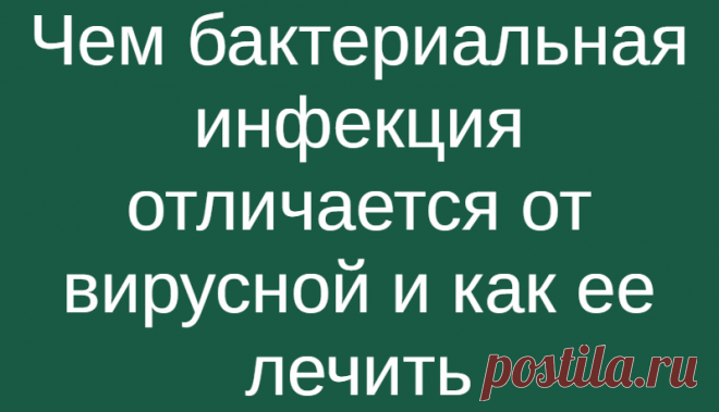 Чем бактериальная инфекция отличается от вирусной и как ее лечить
Сегодня известны тысячи бактерий – одни полезны, а другие патогенны и вызывают заболевания. Многие страшные болезни: чума, сибирская язва, проказа, холера и туберкулез – являются бактериальными инфекциями. Ну а самыми распространенными являются менингит и пневмония. Важно не путать бактериальные инфекции с вирусными, знать симптомы...
Читай дальше на сайте. Жми подробнее ➡