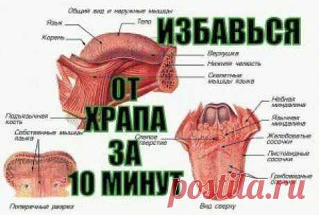 КАК ЗА 10 МИНУТ ИЗБАВИТЬСЯ ОТ ХРАПА НАДОЛГО!