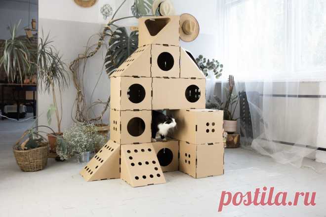 Модульный домик для кошек и их хозяев. Много фото и немного текста. Сидим дома с кошкой