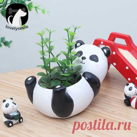 Lovelysmile Hot Stock Mini Panda Desktop Succulent Plants Flower Pot Garden Landscape Decor |
