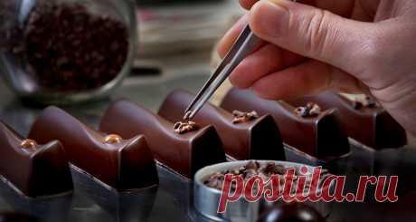 Шоколад своими руками: что нужно знать начинающему шоколатье? — Recipesite.ru