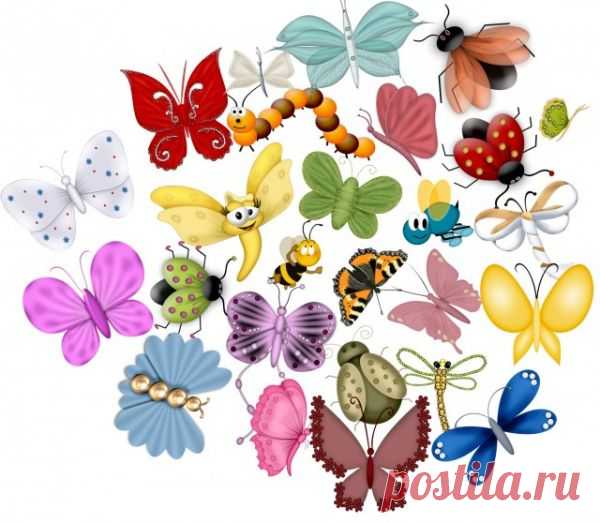 В подборке 183 различных бабочек, жуков,... / Фотография / Скрап-наборы / Pinme.ru