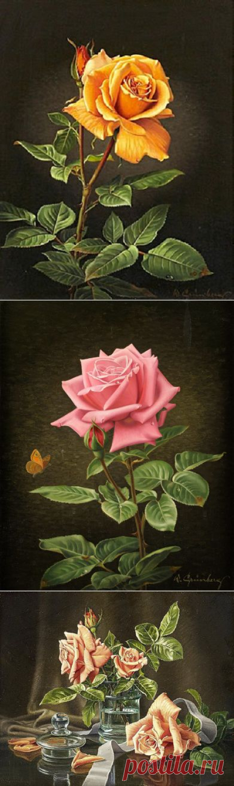 Аукционное: Grünberg, Wolfgang (1909 Köln - 2001) | Роза жёлтая, роза чайная Аромата необычайного.....