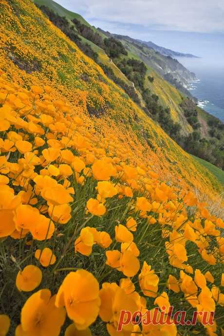 Big Sur, California | Colors Of Nature