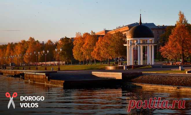 Скупка волос в Петрозаводске — Дорого! - Golden Hair Plus