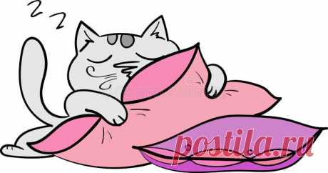 Котик на подушке рисунок
