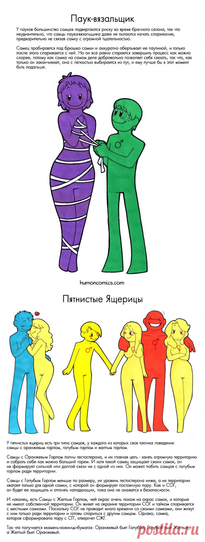 Немного безумные комиксы: как бы мы заводили детей, если б происходили от других животных? - Pics.ru