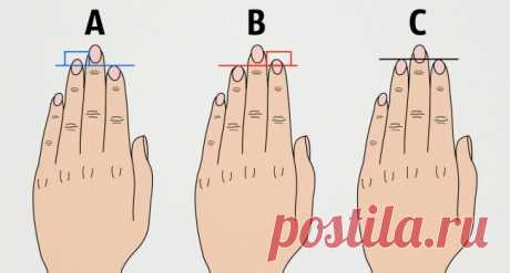 Вот что длина пальцев руки говорит о вашем характере