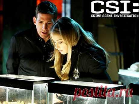 CSI: Место преступления - Under My Skin (2015)