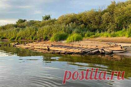 В Нижнем Новгороде нашли останки древнего деревянного судна. Жители Нижнего Новгорода нашли на реке Ветлуге останки древнего деревянного судна. Об этом сообщила новгородчанка Анна Шахалова. Отмечается, что находка была сделана 1 августа. Отдыхающие на речке Ветлуге нижегородцы случайным образом заметили на мели рубленые из дерева останки корпуса и дна судна.