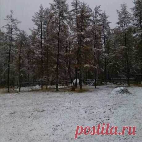 Снег выпал рядом с Якутском | News.Ykt.Ru: служба новостей