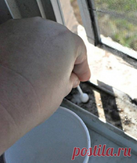 Простой трюк поможет легко очистить пластиковые окна &amp;#8212; Мой дом