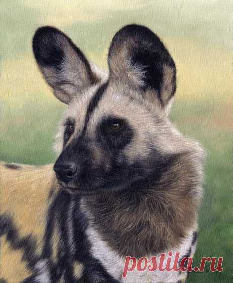 African Wild Dog Painting by Rachel Stribbling African Wild Dog Painting Painting by Rachel Stribbling