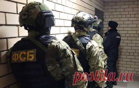 ФСБ выявила жительницу Удмуртии, вступившую в украинскую террористическую организацию. В отношении нее возбудили уголовное дело по статье о госизмене