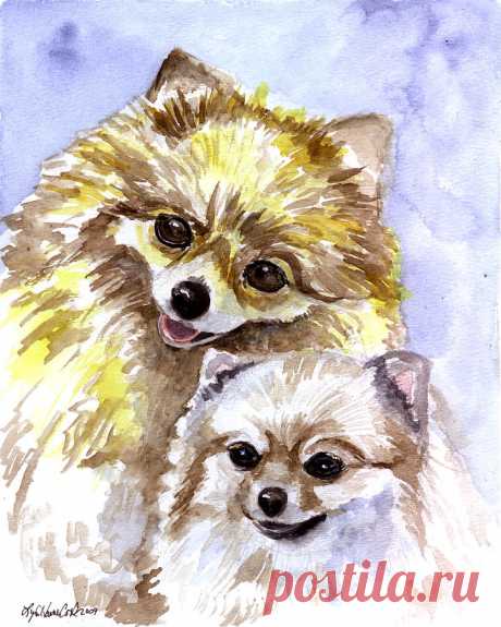 Pretty Pom Pair - Pomeranian by Lyn Cook Pretty Pom Pair - Pomeranian Painting by Lyn Cook