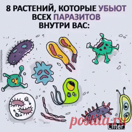 9 растений, которые убьют всех паразитов внутри вас