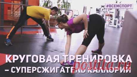 Круговые тренировки: метод, программа, упражнения.
