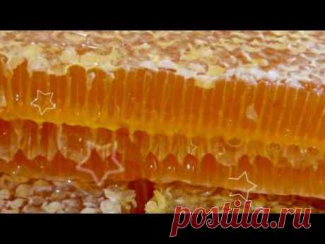 Мёд в сотах — польза и вред, а также лечение от 15+ недугов