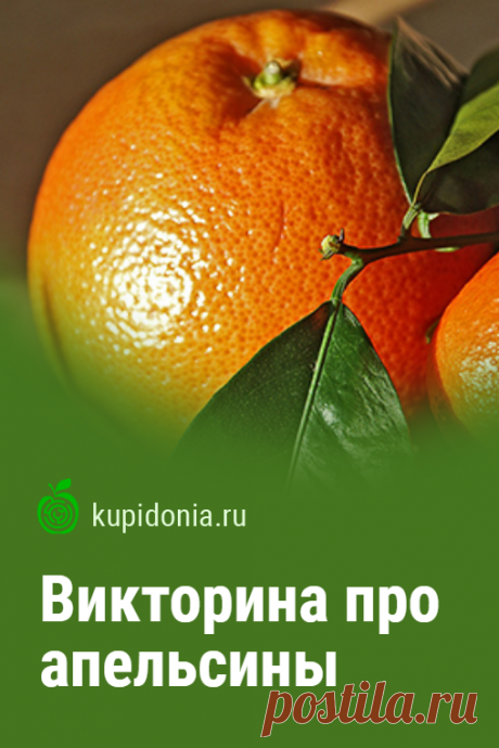 Викторина про апельсины. Интересный познавательный тест про апельсинах из серии «Фрукты и овощи». Пройди тест на сайте и проверь свои знания!