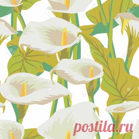 Vector Floral Seamless Pattern With Exotic Calla Flowers. Anthurium Or Flamingo Flowers. Hawaiian, Jungle Plant Pattern. Summer Floral Elements. Botanical Illustration For Textile, Fabric And Wrapping Ilustraciones Vectoriales, Clip Art Vectorizado Libre De Derechos. Image 157066840.
