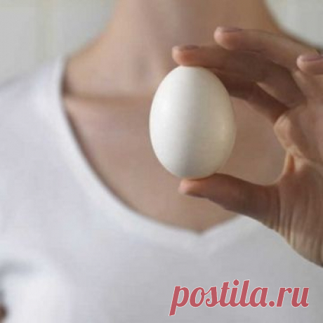 Яйцо от папиллом | Домохозяйки