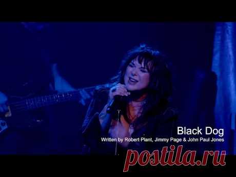 Ann Wilson - Black Dog (Led Zeppelin Cover)