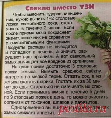 Свекла вместо УЗИ