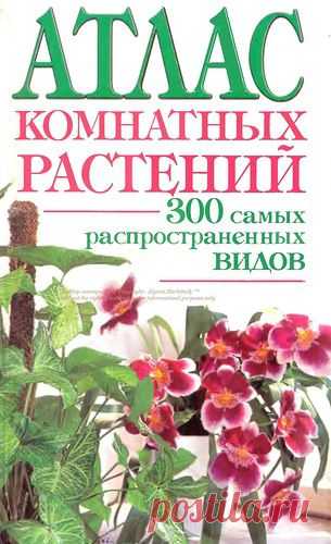Красивоцветущие домашние растения на А ... Атлас комнатных растений (часть1)