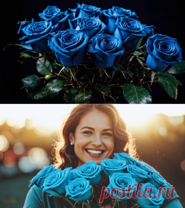 Голубые розы: правда или миф синих цветов в современном выращивании роз &amp;#8211; Agro-Info