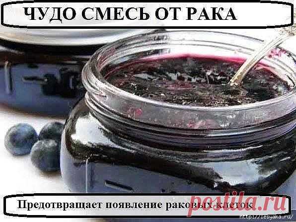 Чудо-средство для профилактики и лечения РАКА