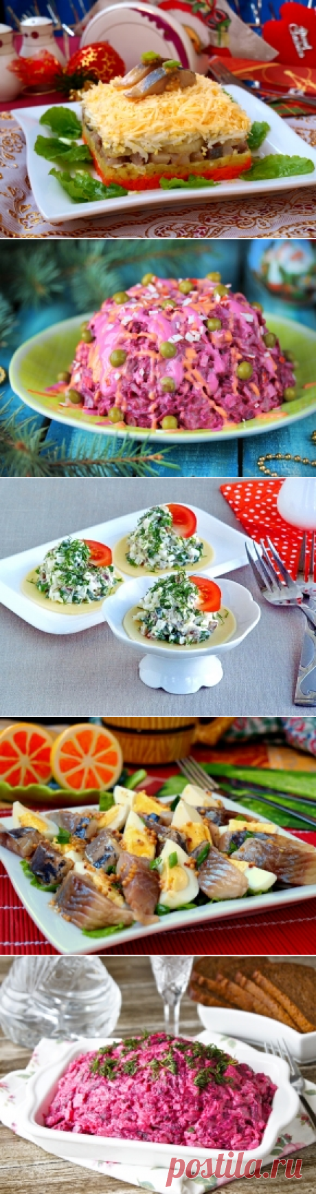 Салаты с селедкой — 30 рецептов с фото пошагово. Как приготовить салат с сельдью?
