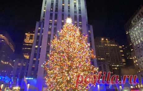 В Нью-Йорке прошла церемония зажжения огней на рождественской ели у Рокфеллер-центра. На площади Рокфеллер-плаза состоялся концерт с участием Гвен Стефани, Блейка Шелтона, Андреа Бочелли и других исполнителей