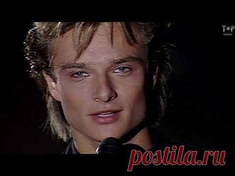 David Hallyday 